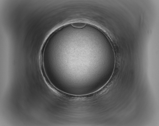 X0000116341519200912091059