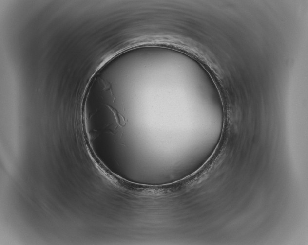 X0000116341521200912091059