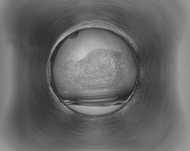 X0000116341522200912091059