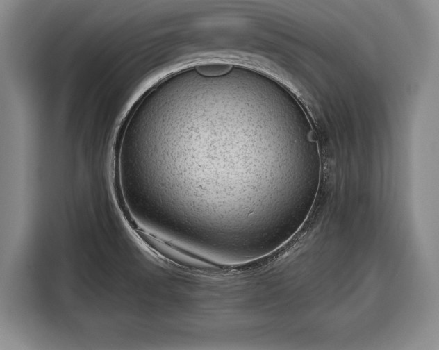 X0000116341523200912091059