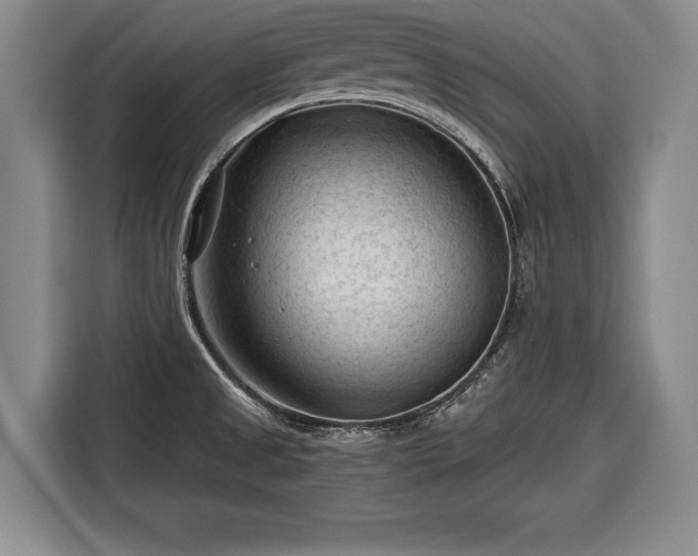 X0000116341525200912091059