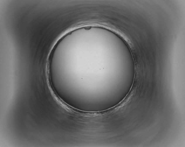 X0000116341526200912091059