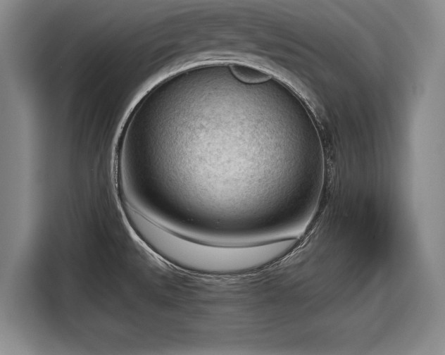 X0000116341527200912091059