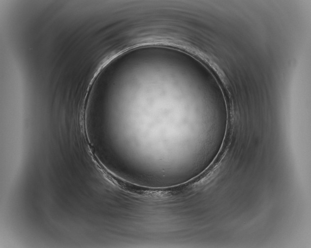 X0000116341529200912091059