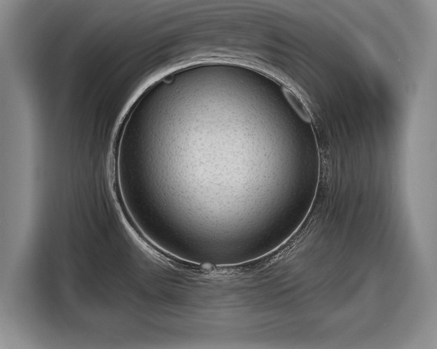 X0000116341531200912091059