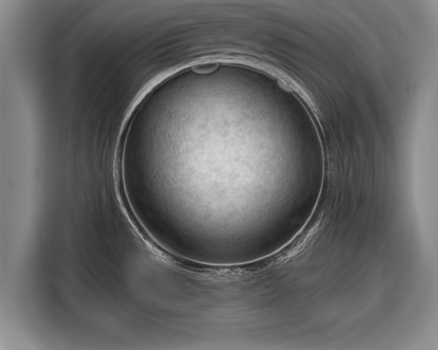 X0000116341533200912091059