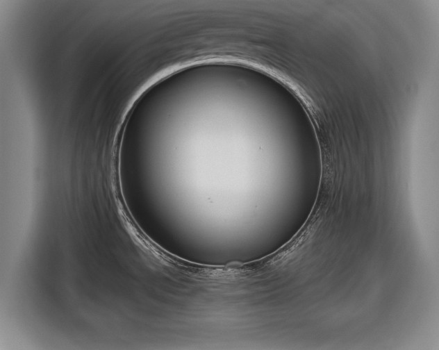 X0000116341534200912091059