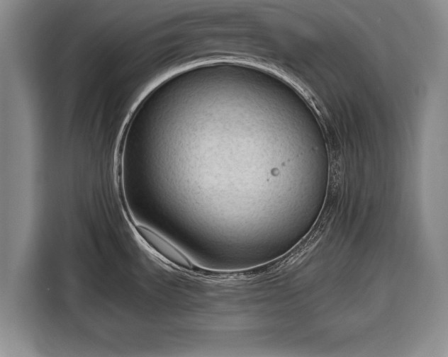 X0000116341535200912091059