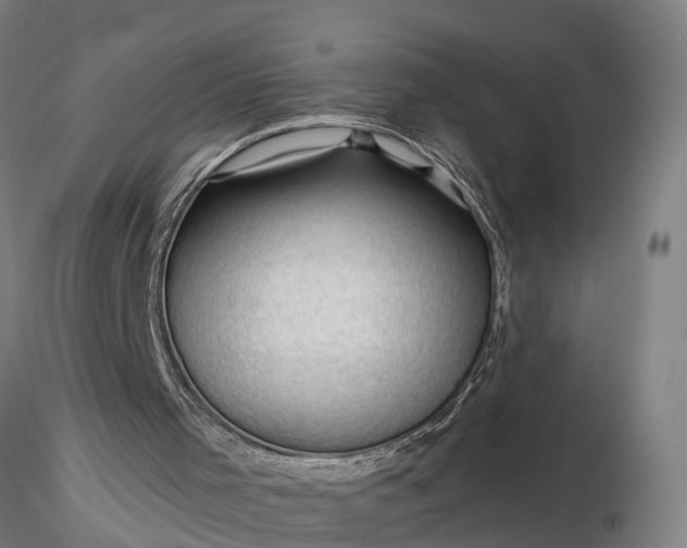 X0000116340001200912151338