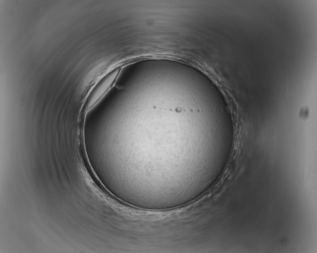 X0000116340002200912151338