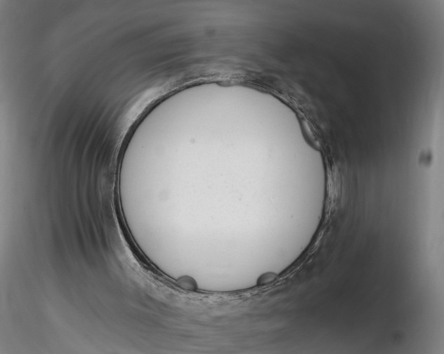 X0000116340003200912151338