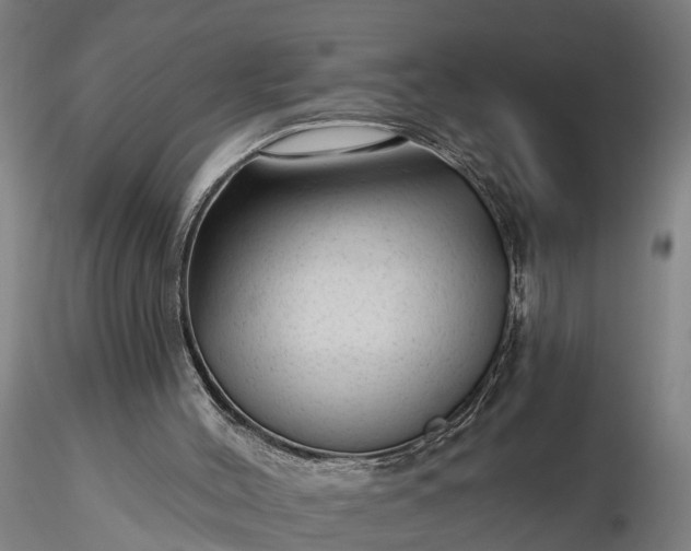 X0000116340004200912151338