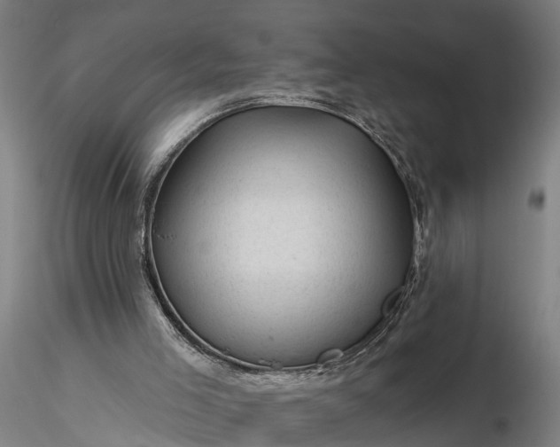 X0000116340005200912151338