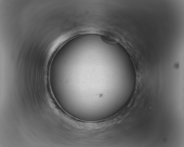 X0000116340006200912151338