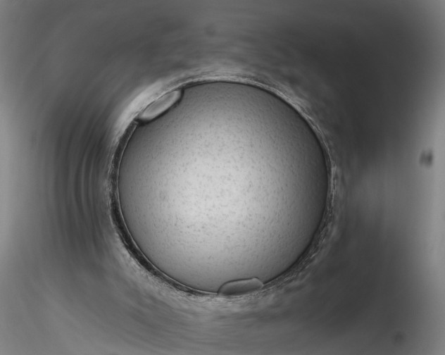 X0000116340007200912151338