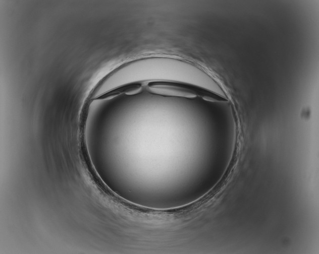 X0000116340008200912151338