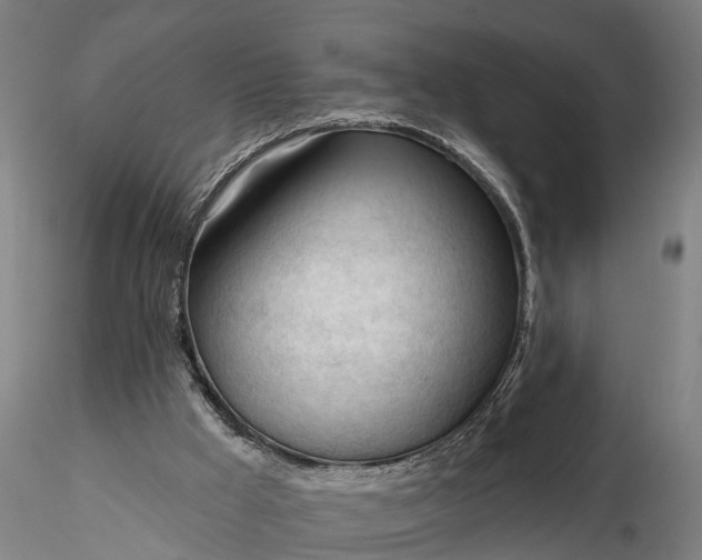 X0000116340009200912151338