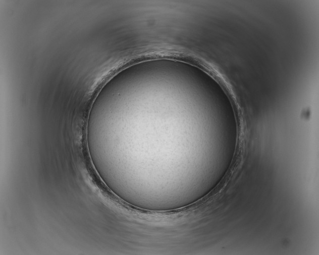 X0000116340010200912151338