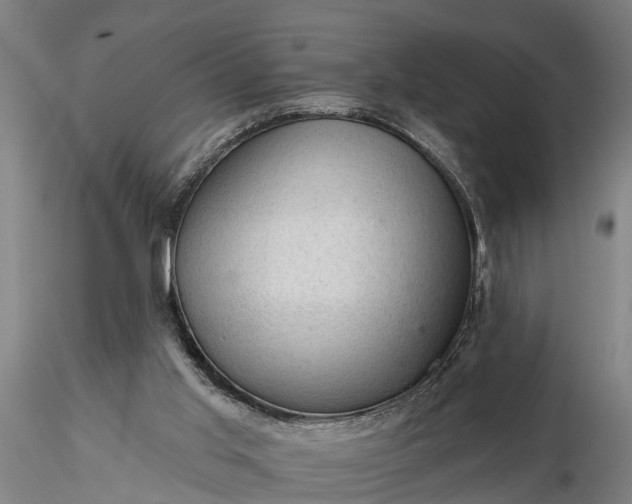 X0000116340013200912151338