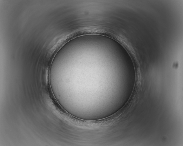 X0000116340014200912151338