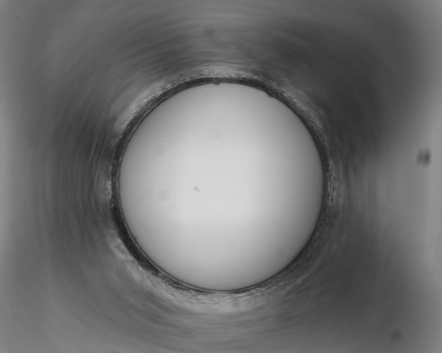 X0000116340015200912151338