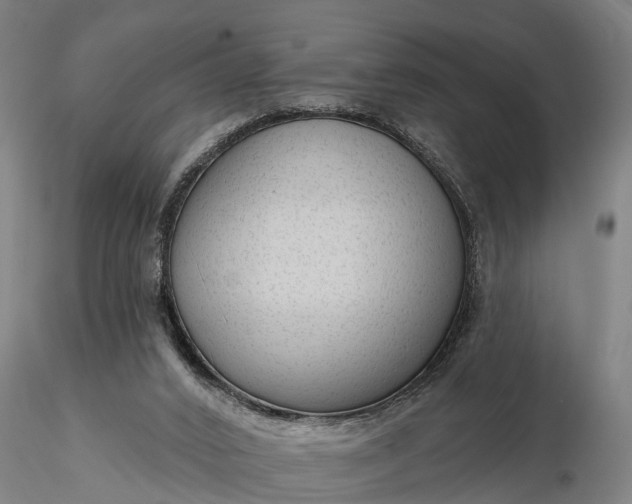 X0000116340016200912151338