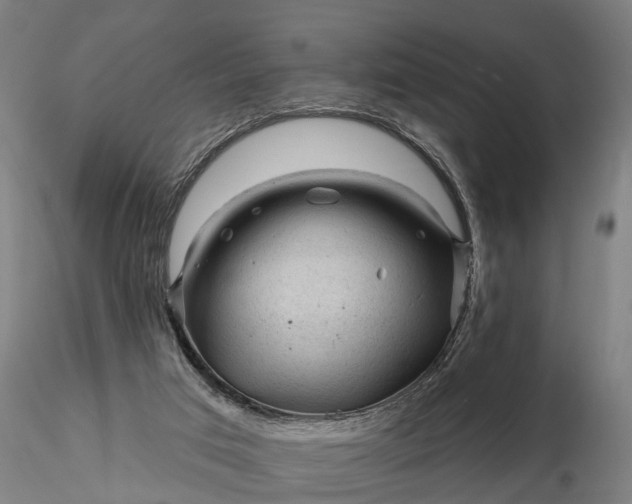 X0000116340017200912151338