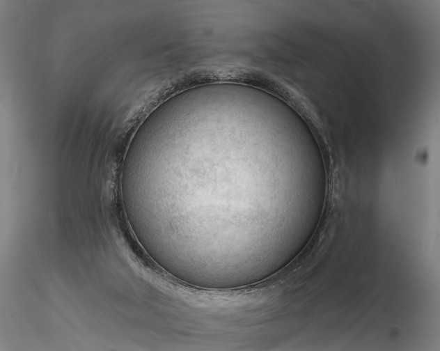 X0000116340018200912151338