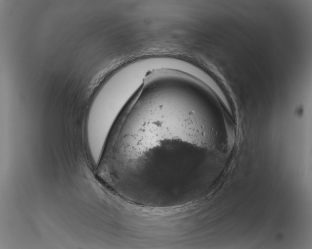 X0000116340019200912151338