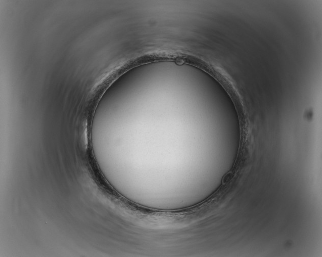 X0000116340020200912151338