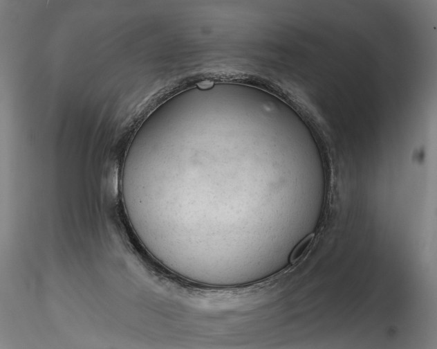 X0000116340021200912151338