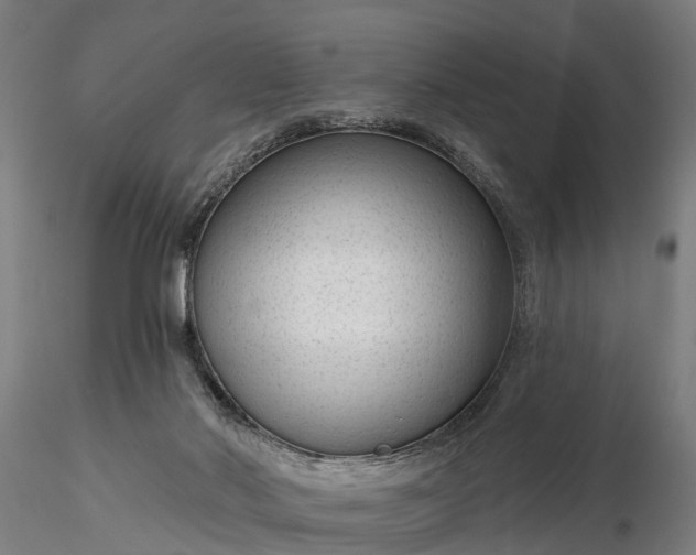 X0000116340022200912151338