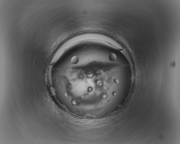 X0000116340023200912151338