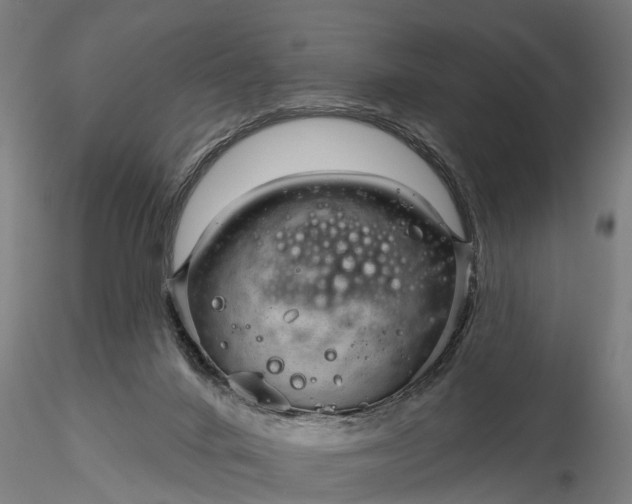 X0000116340024200912151338