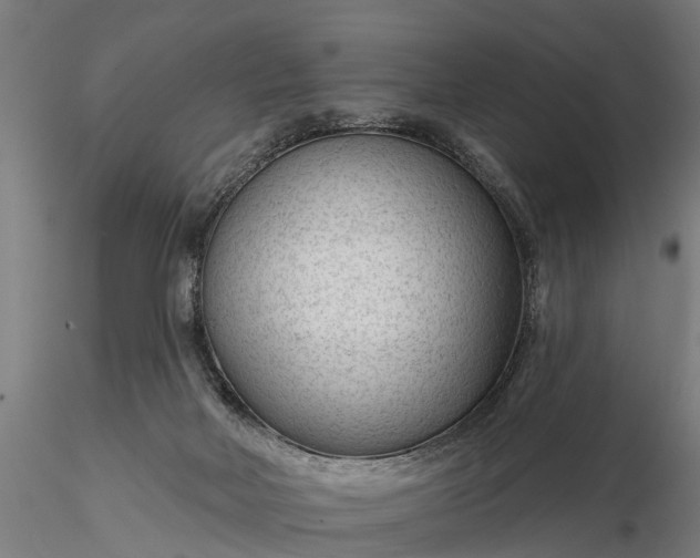 X0000116340026200912151338