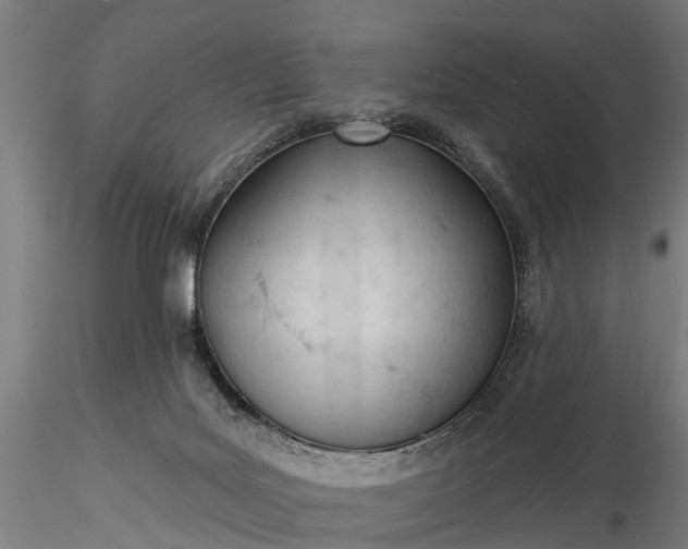 X0000116340027200912151338