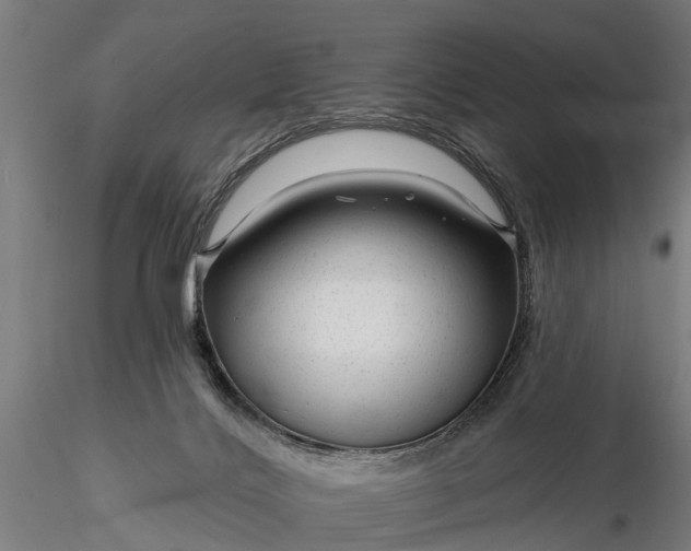 X0000116340028200912151338