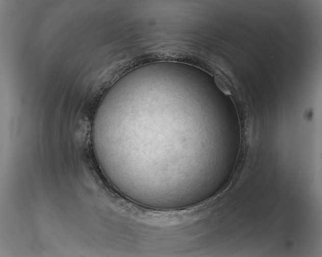 X0000116340029200912151338