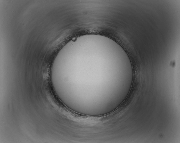 X0000116340032200912151338