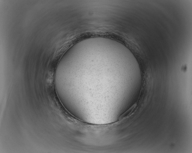 X0000116340033200912151338