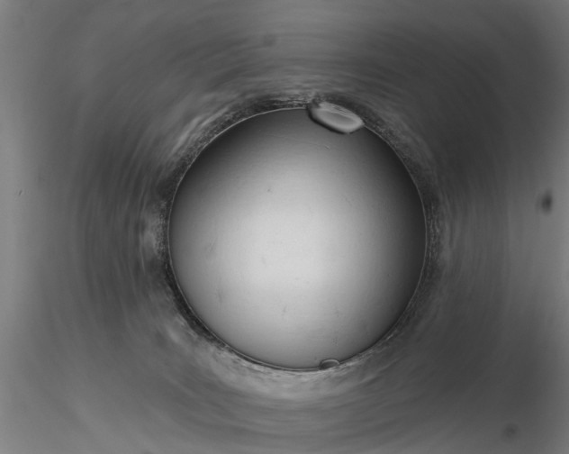 X0000116340035200912151338