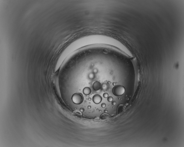 X0000116340036200912151338