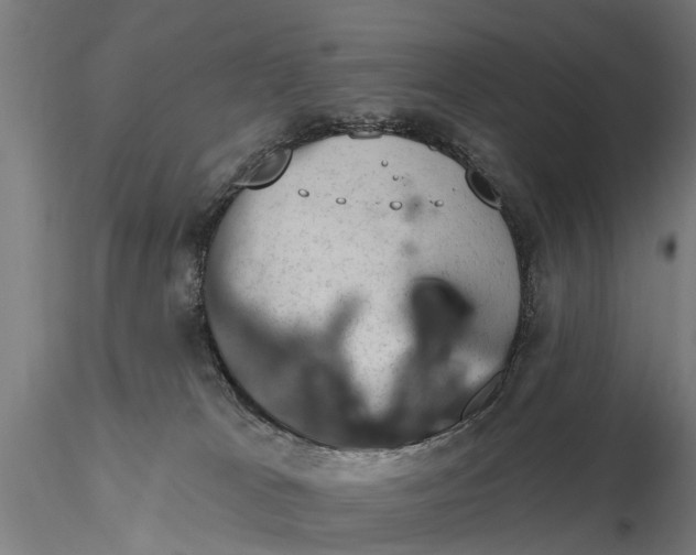 X0000116340037200912151338