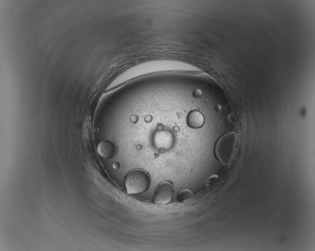 X0000116340038200912151338