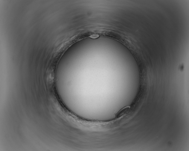 X0000116340040200912151338