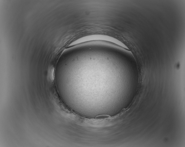 X0000116340041200912151338