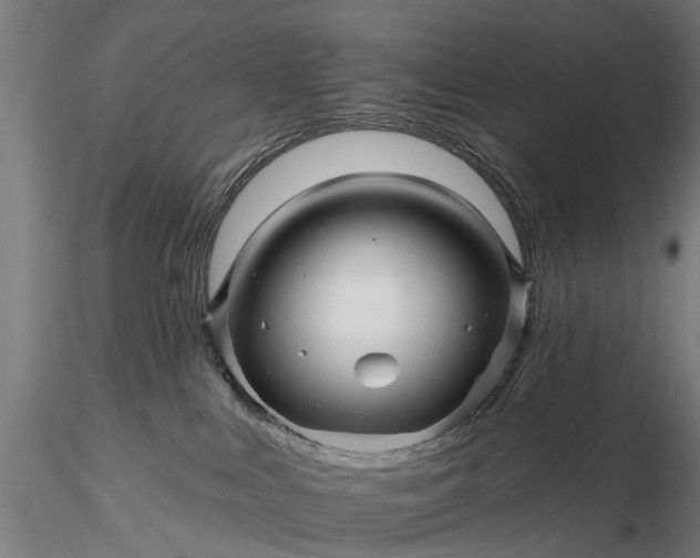 X0000116340043200912151338