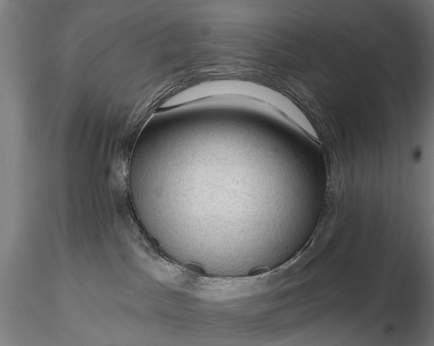 X0000116340045200912151338