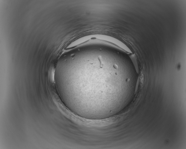 X0000116340046200912151338