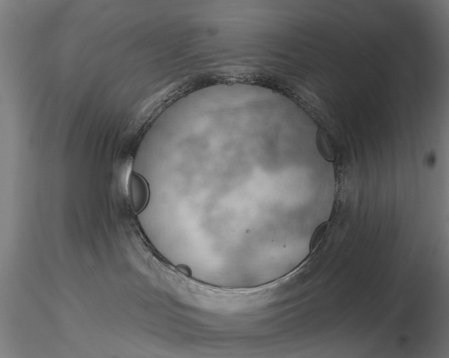 X0000116340047200912151338